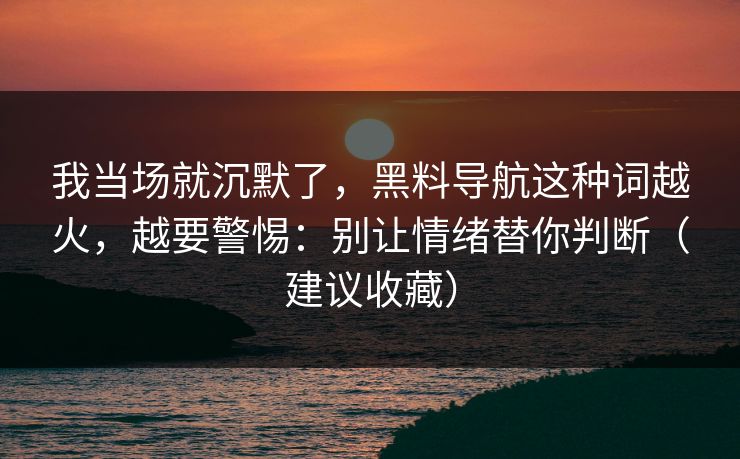 我当场就沉默了，黑料导航这种词越火，越要警惕：别让情绪替你判断（建议收藏）